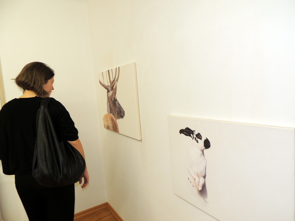 DSCN9304_JPG-1365029917