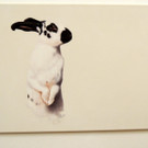 DSCN9306_JPG-1365029925