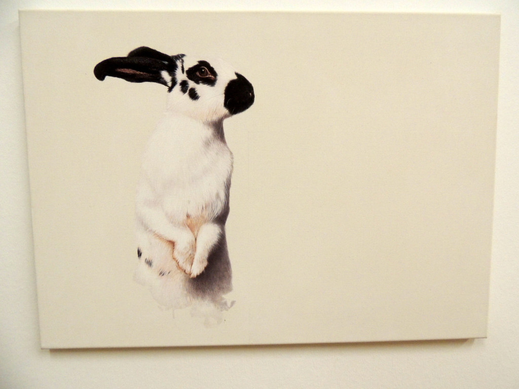 DSCN9306_JPG-1365029925