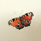 DSCN9308_JPG-1365029928