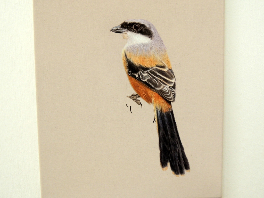 DSCN9310_JPG-1365029936