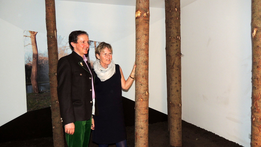 DSCN9335_JPG-1365030005