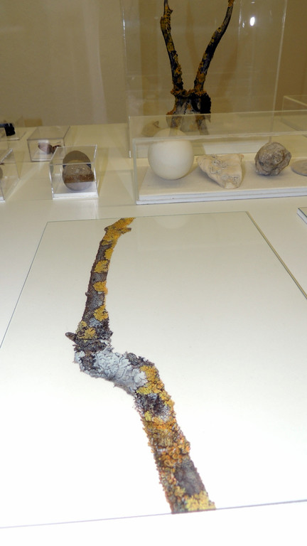 DSCN9358_JPG-1365030041