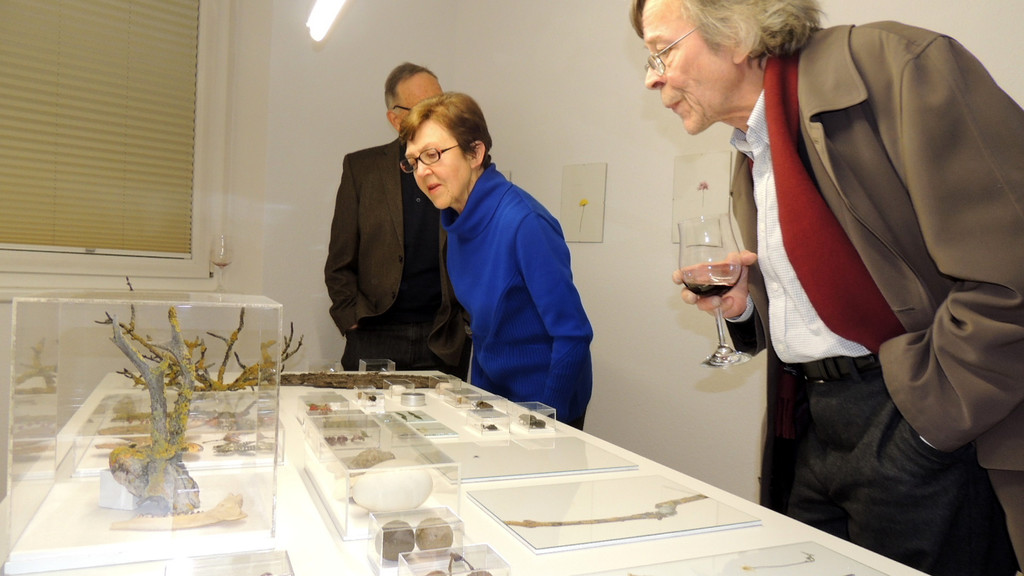 DSCN9339_JPG-1365030016