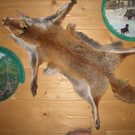 CIMG5938_JPG-1365068102