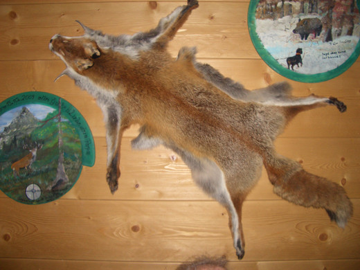 CIMG5938_JPG-1365068102