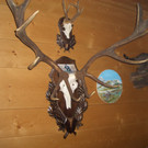 CIMG5942_JPG-1365068137