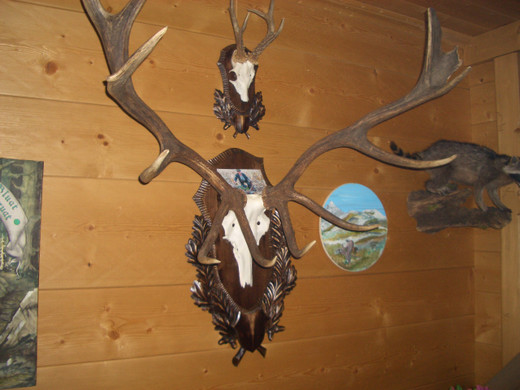 CIMG5942_JPG-1365068137