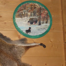 CIMG5943_JPG-1365068219