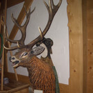 CIMG5914_JPG-1365068387