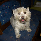 CIMG5950_JPG-1365068424