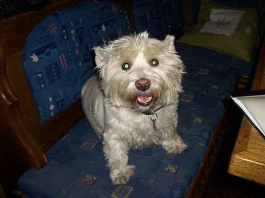 CIMG5950_JPG-1365068424