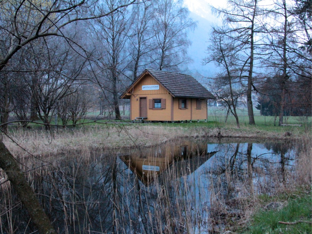 KOE_Bienenzuchtverein Feldkirch 5_jpg-1365104056