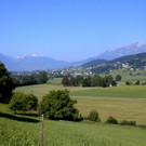 KOE_Bienenzuchtverein Feldkirch 6_jpg-1365104060