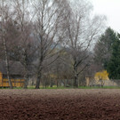 KOE_Bienenzuchtverein Feldkirch 7_jpg-1365104068