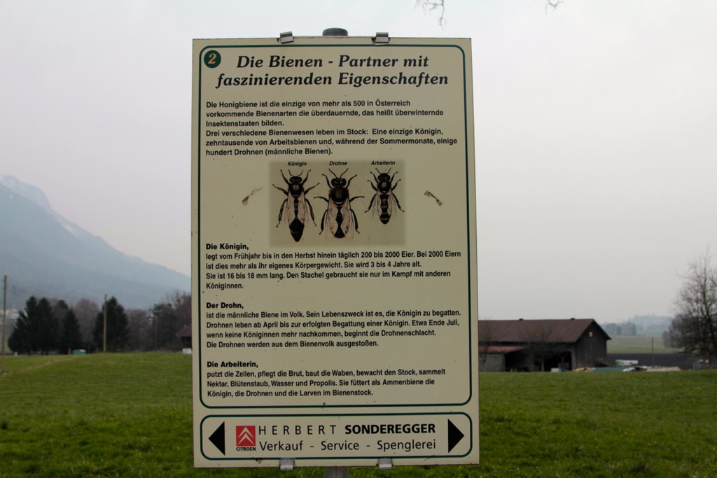 KOE_Bienenzuchtverein Feldkirch 9_jpg-1365104078