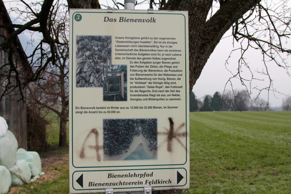 KOE_Bienenzuchtverein Feldkirch 10_jpg-1365104084