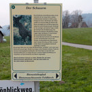 KOE_Bienenzuchtverein Feldkirch 11_jpg-1365104089