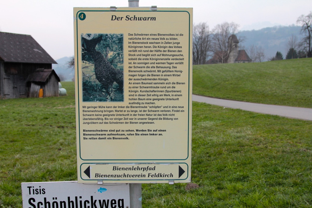 KOE_Bienenzuchtverein Feldkirch 11_jpg-1365104089