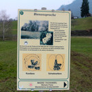 KOE_Bienenzuchtverein Feldkirch 13_jpg-1365104100