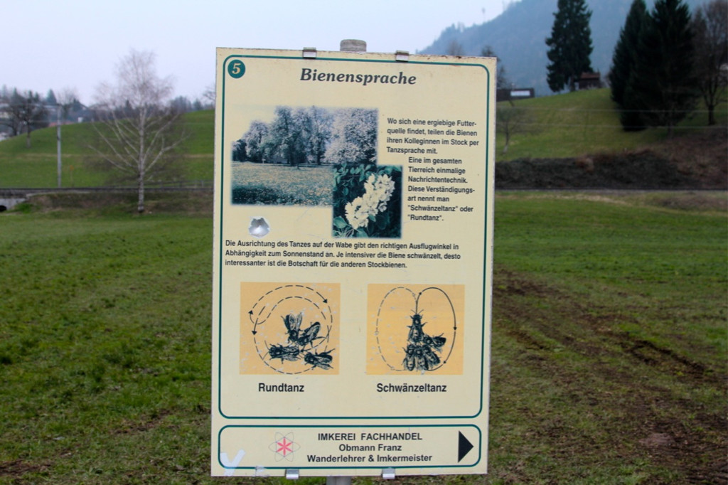 KOE_Bienenzuchtverein Feldkirch 13_jpg-1365104100