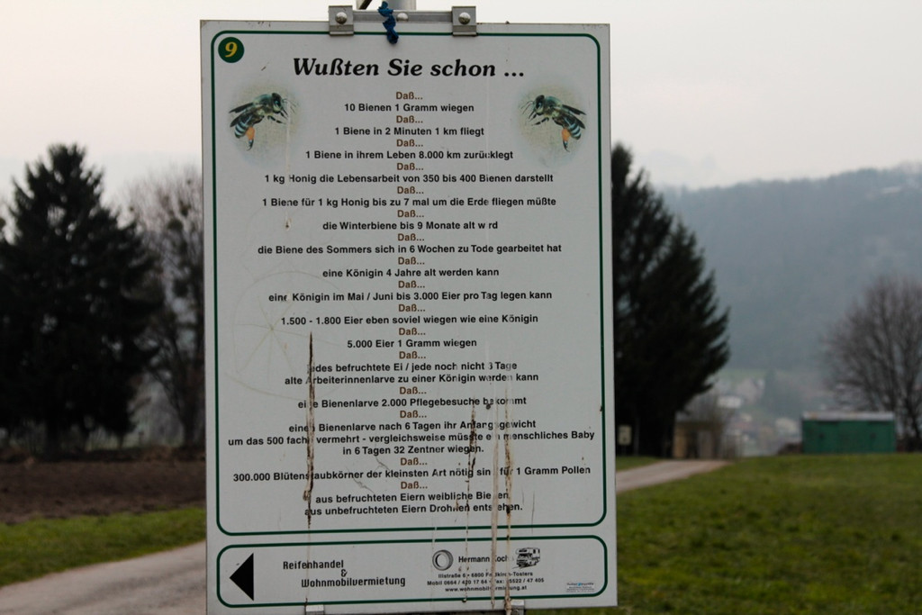 KOE_Bienenzuchtverein Feldkirch 14_jpg-1365104104