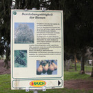 KOE_Bienenzuchtverein Feldkirch 15_jpg-1365104110