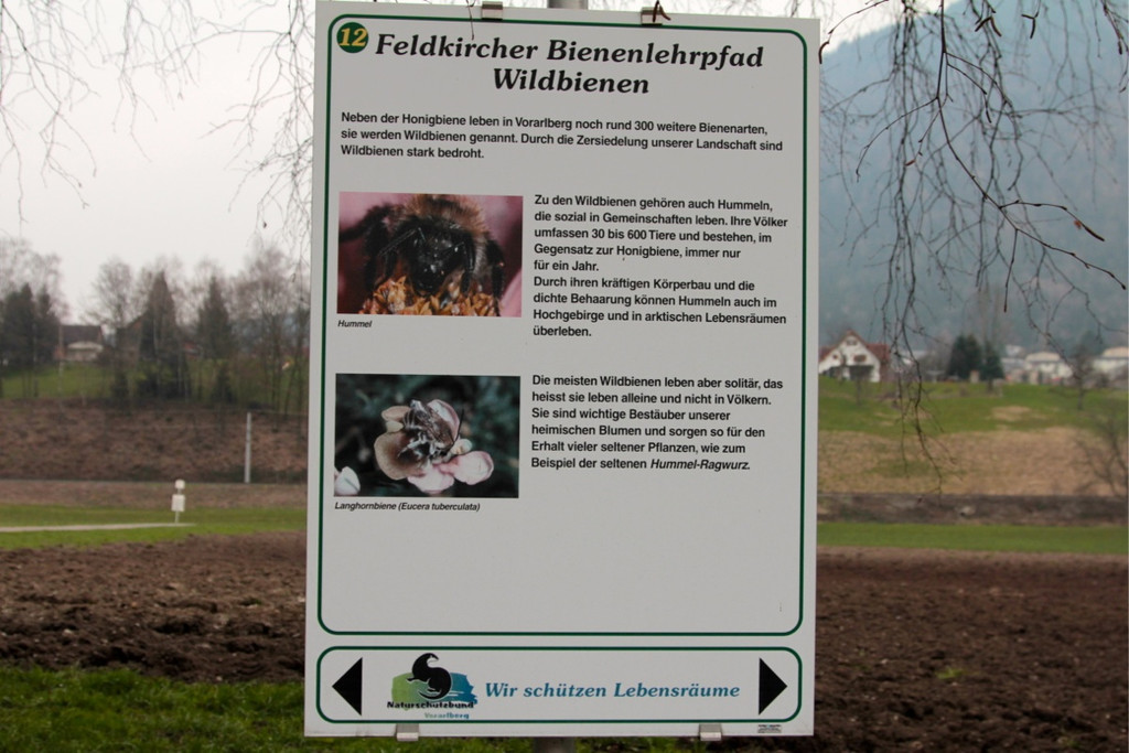 KOE_Bienenzuchtverein Feldkirch 17_jpg-1365104120