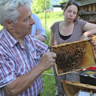 KOE_Bienenzuchtverein Feldkirch 20_jpg-1365104140