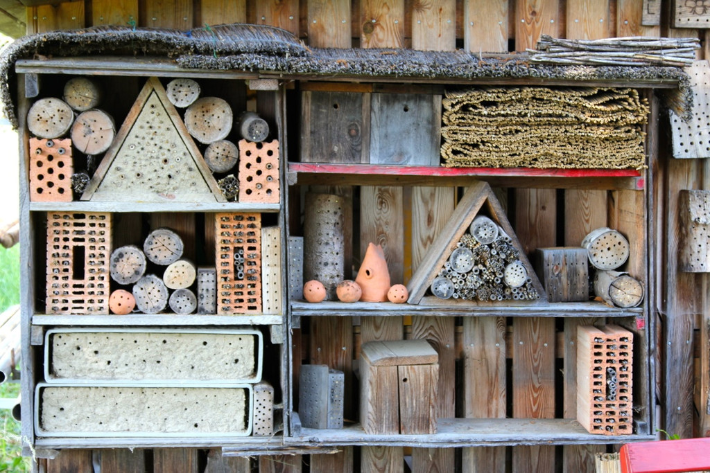 KOE_Bienenzuchtverein Feldkirch 25_jpg-1365104166