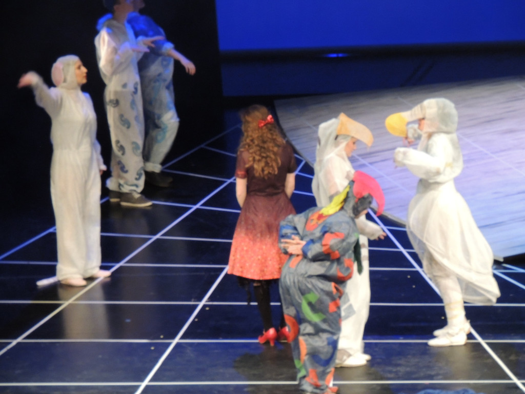 DSCN8416_JPG-1365111374