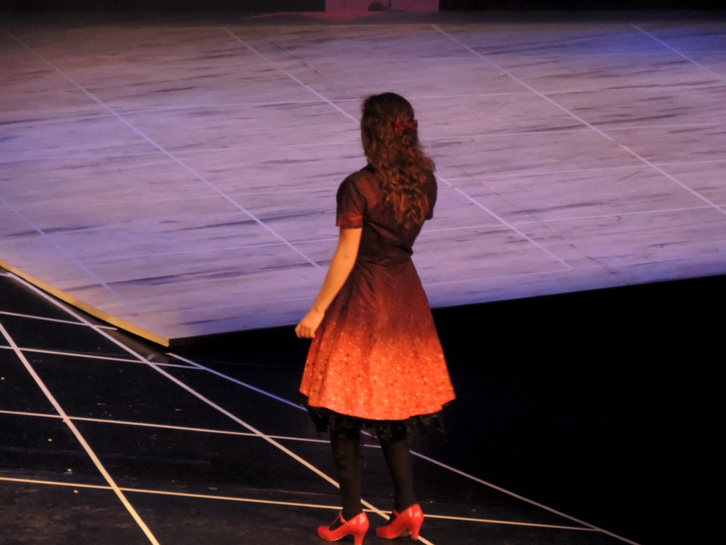 DSCN8384_JPG-1365111336