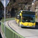SH106524_JPG-1267112821