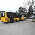 DSCN1917_JPG-1365164053