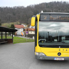 DSCN1919_JPG-1365164092