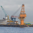 IBD0236-20130203.jpg