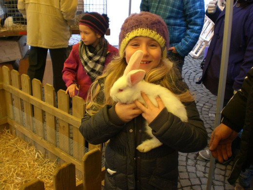 CIMG9276_jpg-1365191946