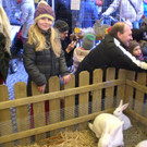 CIMG9279_jpg-1365191947