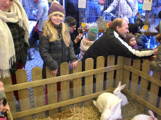 CIMG9279_jpg-1365191947