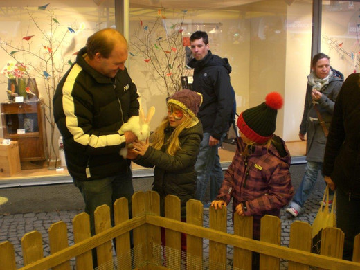 CIMG9283_jpg-1365191948