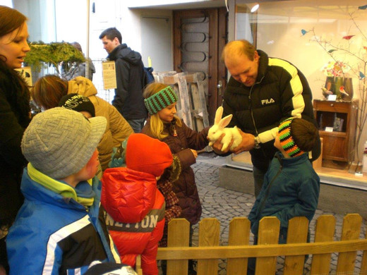 CIMG9286_jpg-1365191949