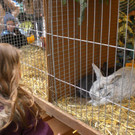 CIMG9290_jpg-1365191951