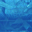 Nächste Panne in Fukushima: Möglicherweise radioaktives Wasser ausgetreten