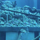 fukushima1.jpg