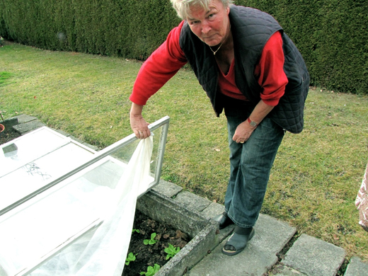 KOE-Fr__hlingsbeginnFeldkirch 4_jpg-1267117686