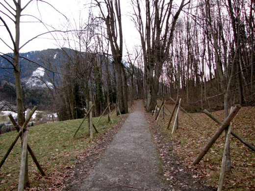 KOE-Fr__hlingsbeginnFeldkirch 16_jpg-1267117817
