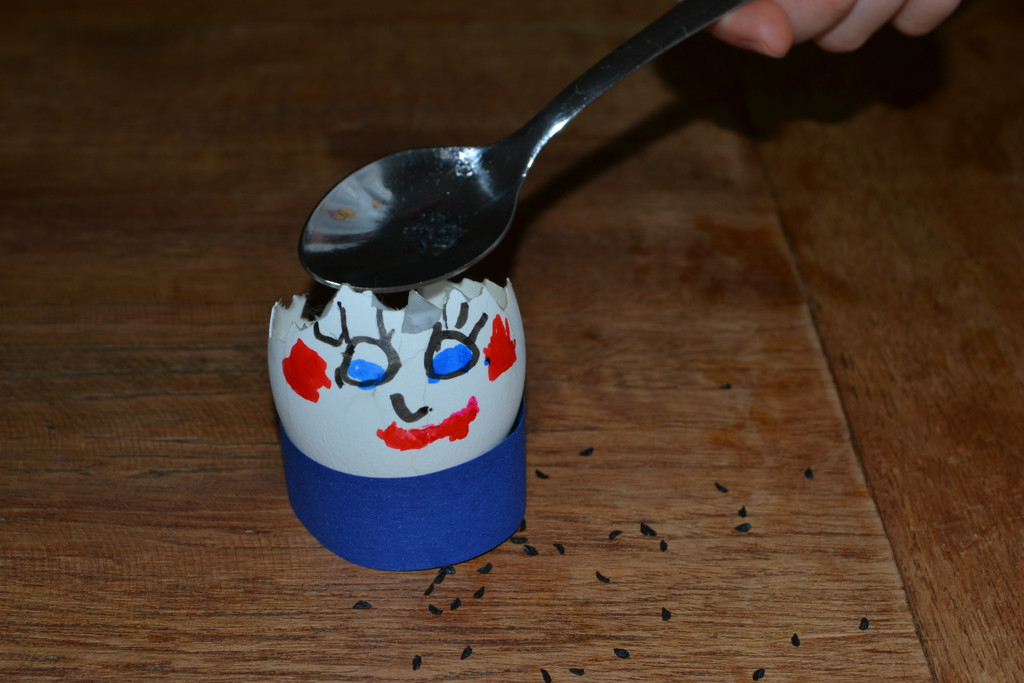 08 Streue Kr__utersamen auf die feuchte Watte.JPG