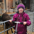 DSC_3067_JPG-1365276755