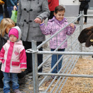 DSC_3095_JPG-1365276790