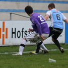 IMG_6084_jpg-1365283088